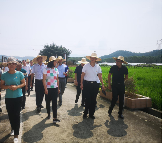 中国·7790必发集团(股份)有限公司-官方网站
