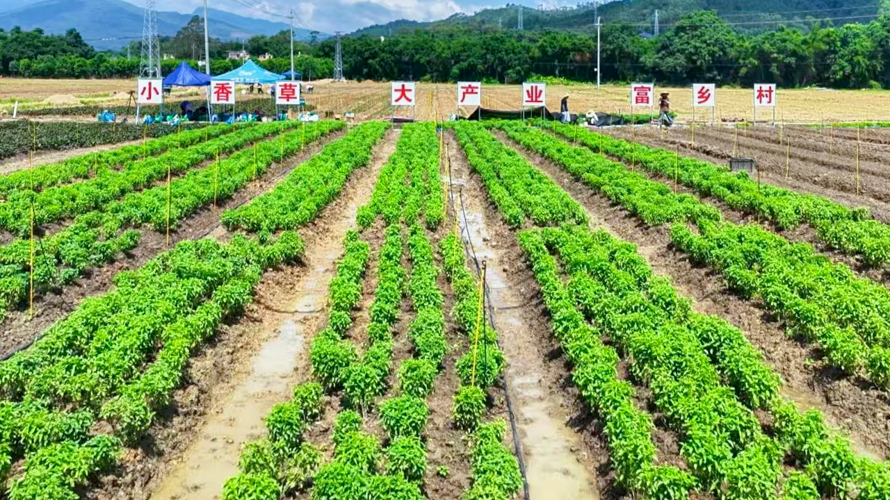 中国·7790必发集团(股份)有限公司-官方网站